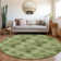 Laurelyn Floral Indoor / Outdoor Rug