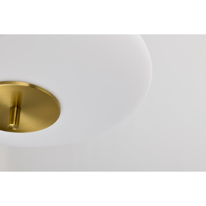 Caio Matte Black Pendant Light With Oval Disc Frosted Glass Shade, Laiton
