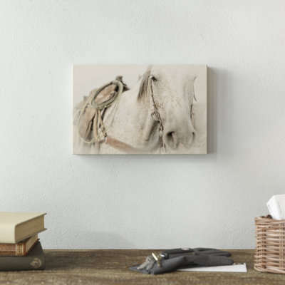 «Cow Pony», photographie sur toile