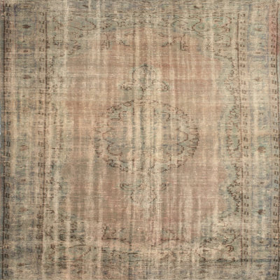 Oriental Indoor Rug