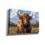 «Bull In The Country» par Momart, art mural sur toile, 18 po x 12 po-1637986740