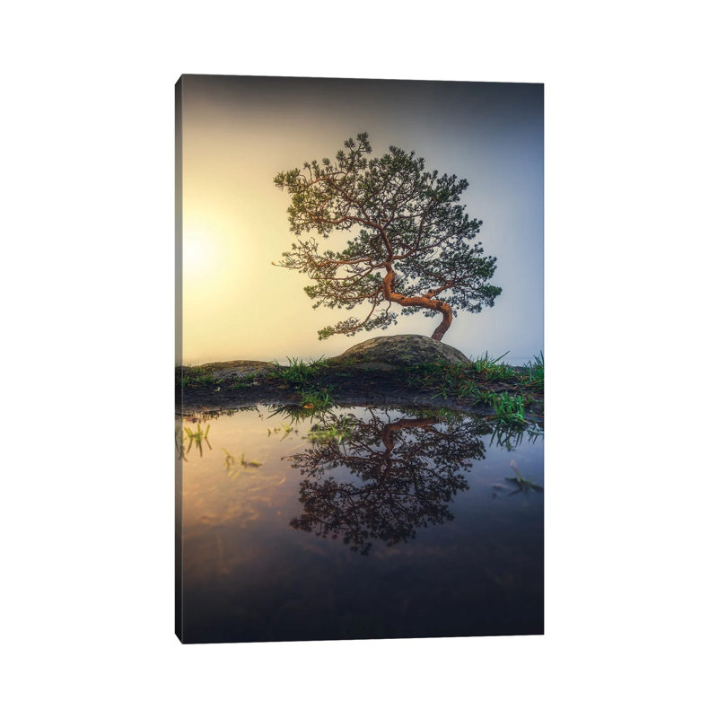 Bonsai by Lauri Lohi - Wrapped Canvas Print, 66.04 cm H x 45.72 cm W x 1.91 cm D