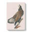 White Headed Eagle by John Audubon - Wrapped Canvas Painting-55305261