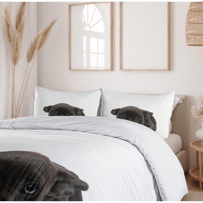No Duvet Cover, Queen