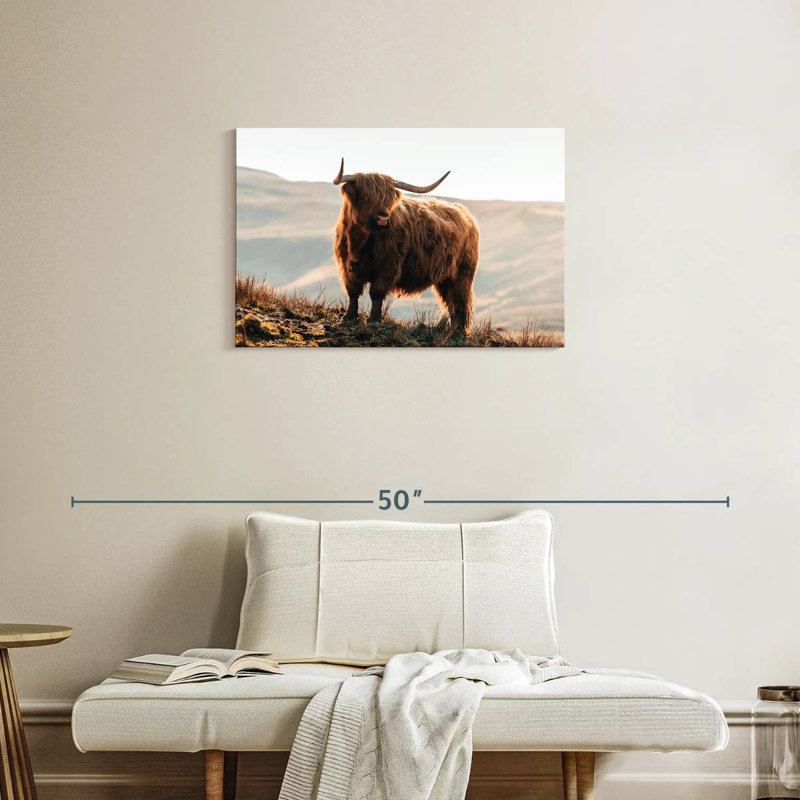 Brampt Isle of Skye Highland Cow, H 20 po x l 30 po