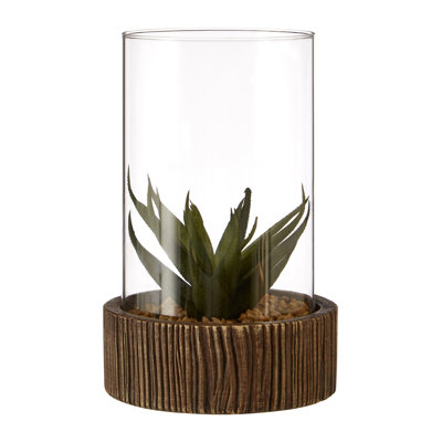 Sprague Succulent in Stone Jar