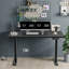 Dionysius Electric Height Adjustable Standing Desk-532283478-487463095-487463096