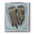 Argent