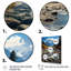 États-Unis, parc national de Grand Teton - États-Unis, art mural-1092661069-1120290370