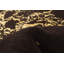 Tapis oriental brun foncé / crème noué à la main-1957486972