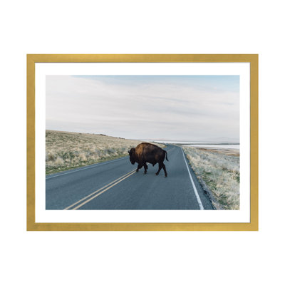 « buffalo bison » par chelsea victoria-impression