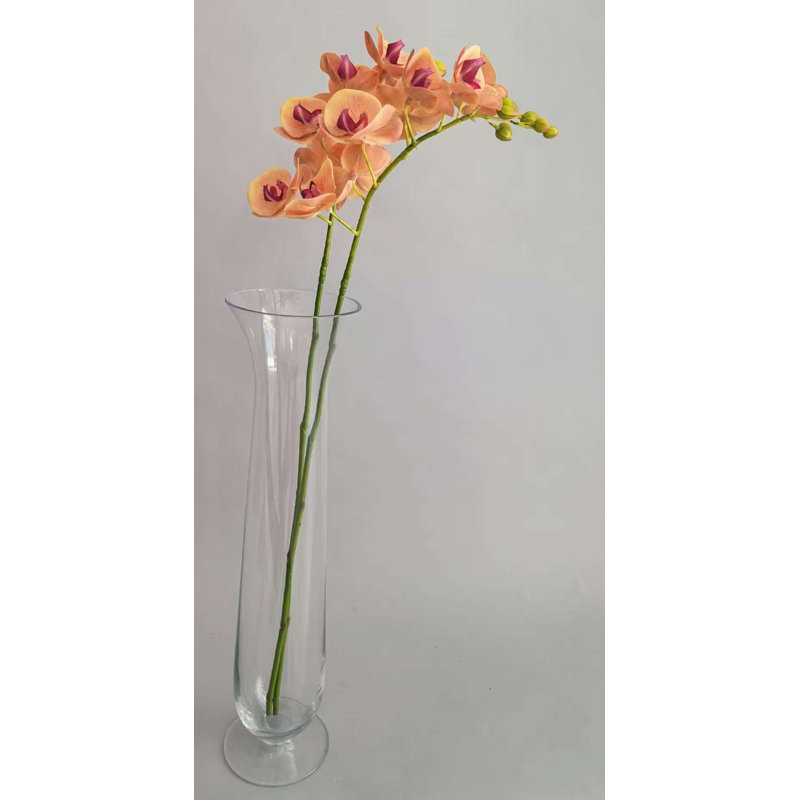 PHALAENOPSIS X7 FLEURS PU, Orange, 15" H x 5" W