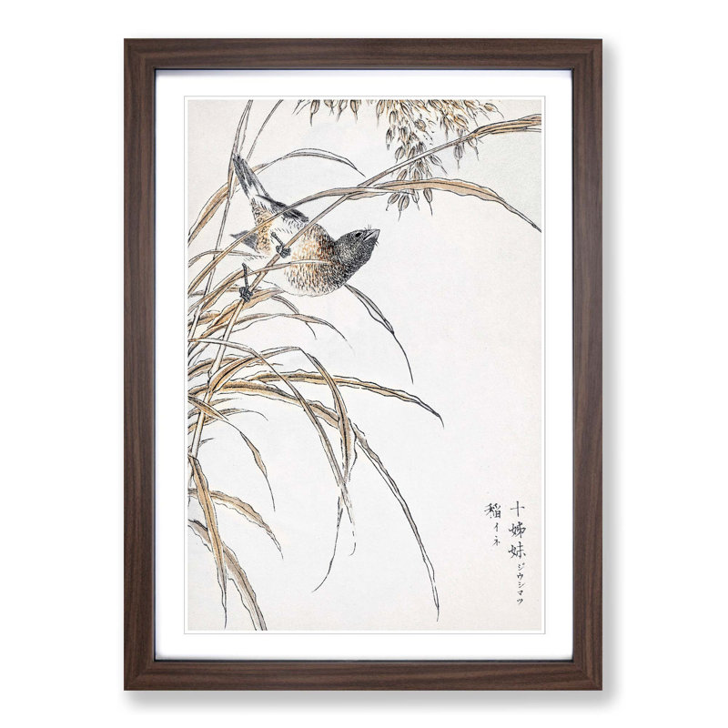 Japanese Grey Bunting Bird by Numata Kashu - Picture Frame Painting Print, Walnut Framed, 48cm H x 36cm W x 2cm D