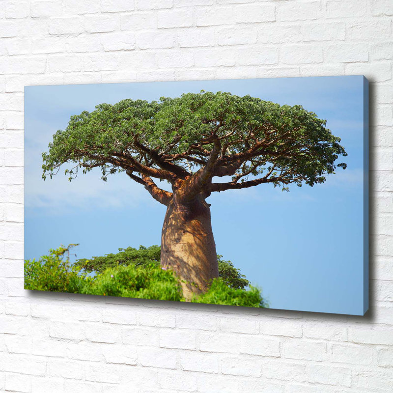 Baobab - Wrapped Canvas Print