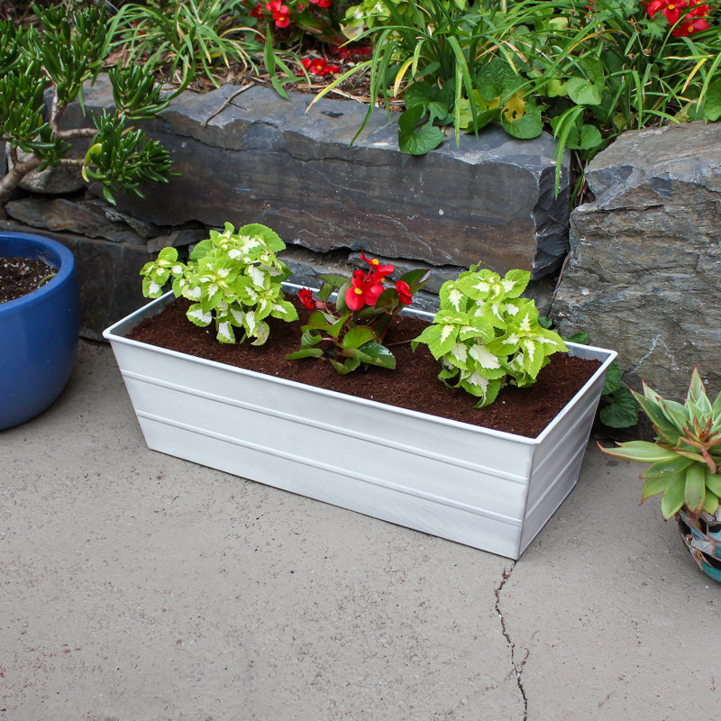 Metal Planter Box, Cape Cod White