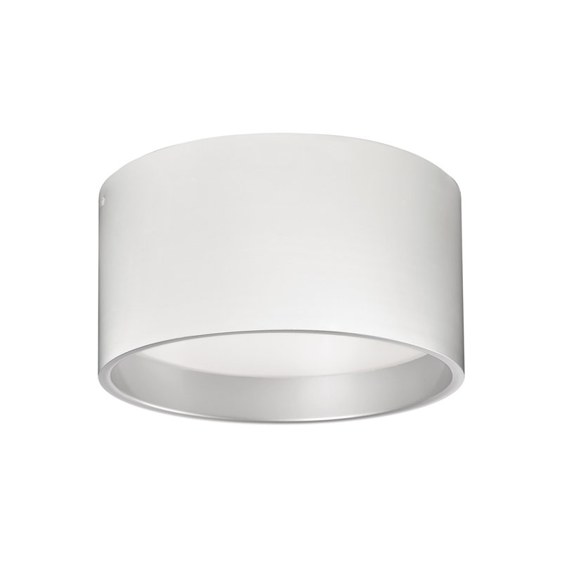 Mousinni 1 - Light LED Flush Mount, White, White