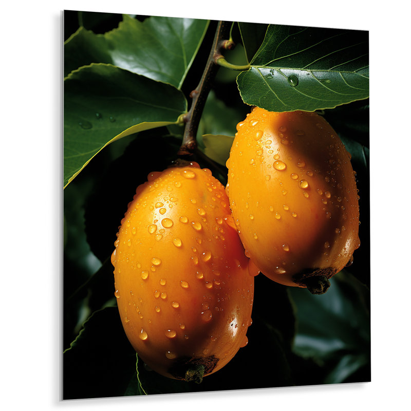 «Harvest Hues Papaya Fruit Perfection IV», art mural en métal sur les fruits, H 20 po x l 12 po x P 1 po