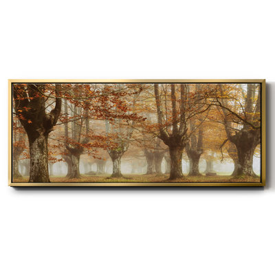 Misty Pan- Framed Canvas