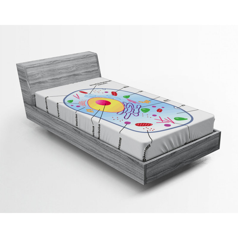 Drap-housse éducatif, Drap-housse simple TG