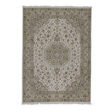 Wool Oriental Area Rug in Ivory