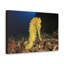 No Frame Print on Canvas-1244178593