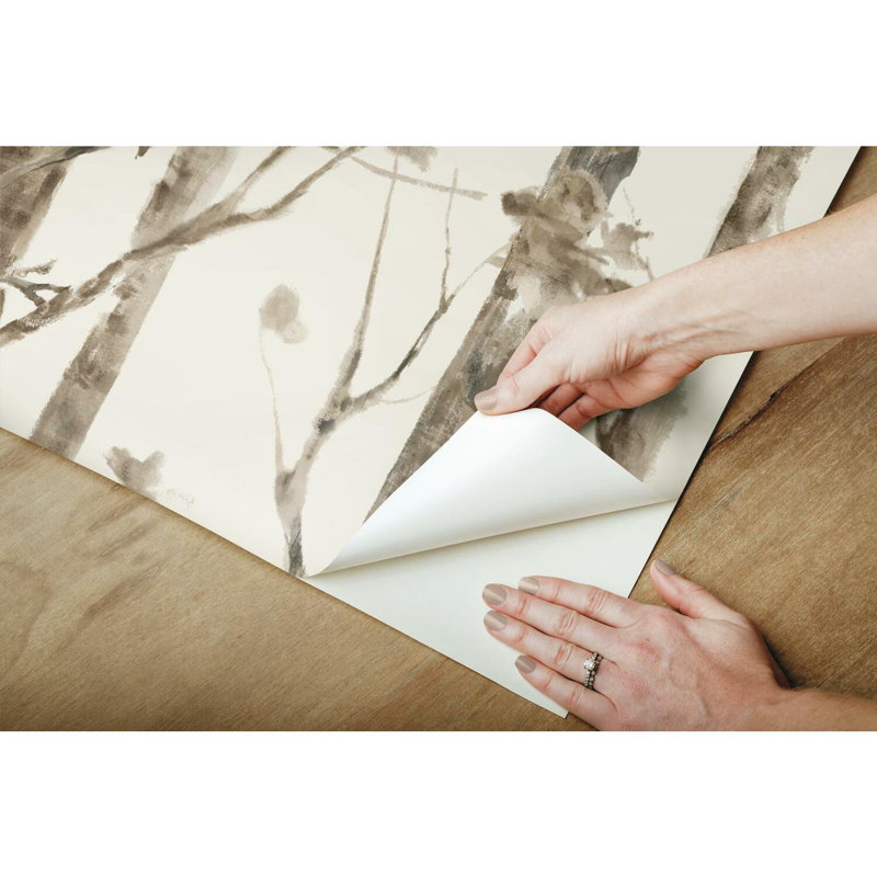 Papier peint adhésif arbre et adhésif, Brun / taupe