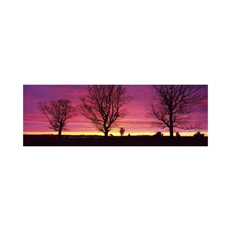 Oak Trees, Sunset, Sweden by Panoramic Images - Wrapped Canvas Panoramic Print, 30.48 cm H x 91.44 cm W x 1.91 cm D