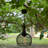 10'' Solar Powered Integrated LED Outdoor Hanging Light
