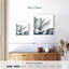 Agave bleu Harnek sur blanc II-109393252