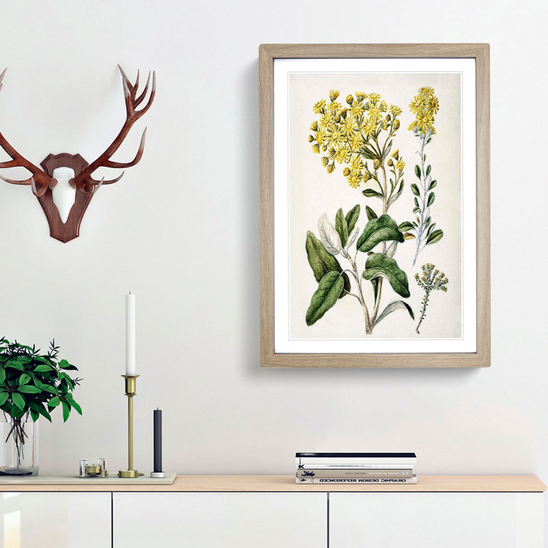Daisy Brachyglottis Flowers by Sarah Featon - Picture Frame Painting Print, 65cm H x 48cm W x 2cm D, Oak Framed