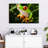Brampt Tree Frog-107850617