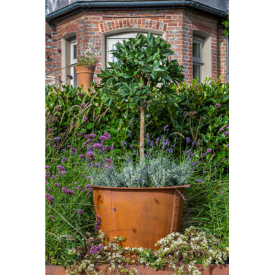 Norman Planter