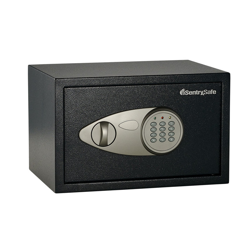 SentrySafe 0.58 Cu. Ft. Security Safe with Keypad Dual Lock