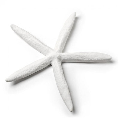 Simple Starfish Decoration