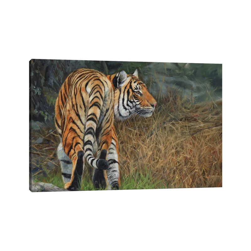 Indo Chinese Tiger by David Stribbling - Gallery-Wrapped Canvas Giclée on Canvas, 30.48 cm H x 45.72 cm W, Canvas