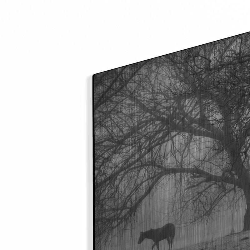"Morning Calm II BW" par Debra Van Swearingen, H 12 po x l 16 po