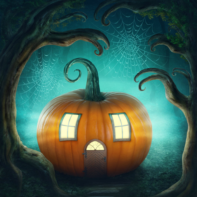 Pampkin House - Wrapped Canvas Print, 76cm H x 76cm W x 3.8cm D