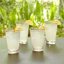 Hammered High Ball Glass-Clear w/Gold Rim