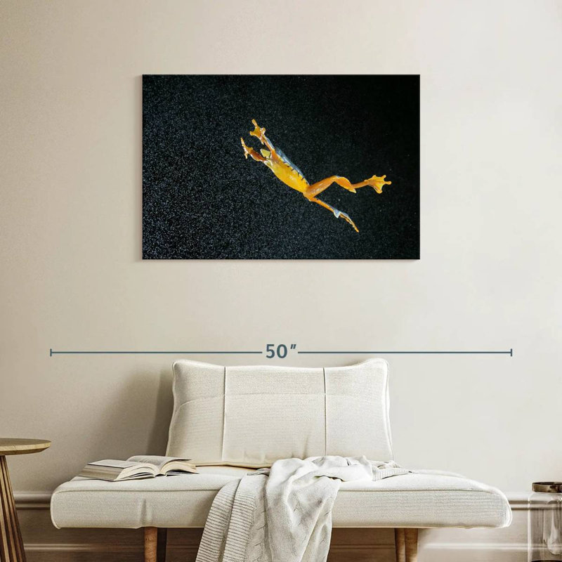 Leaping Leaf Frog, 24" H x 36" W