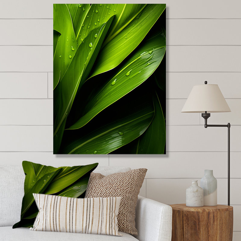 Représentation de photo d'arbre de palmier sur toile, Cadre flottant noir, H 40 po x l 30 po