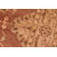 Tapis oriental brun en laine noué à la main 6 pi 2 po x 8 pi 10 po Baccio