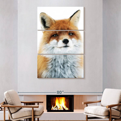 Brampt Fox Gaze