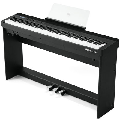Black Wood Electric Play Music Instrument