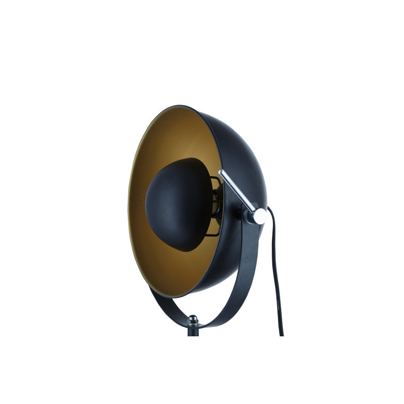 Danae Metal Tripod Lamp