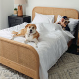70%cotton, 30%lyocell Bedding Set