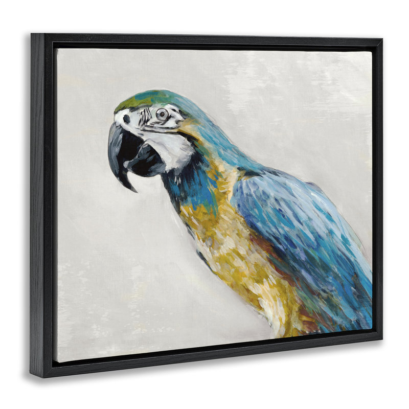 Cadre flottant Polly Portrait, par Jacob Q, H 17 po x l 21 po, Cadre flottant noir de jais