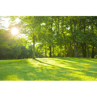 Morning Garden by Wat - Wrapped Canvas Print