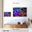 Avery Rainbow Fog-107510247
