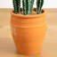 Cactus artificiel en pot terre cuite-1396300894