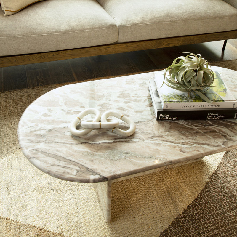 Dovetail Furniture Christos Coffee Table | Perigold